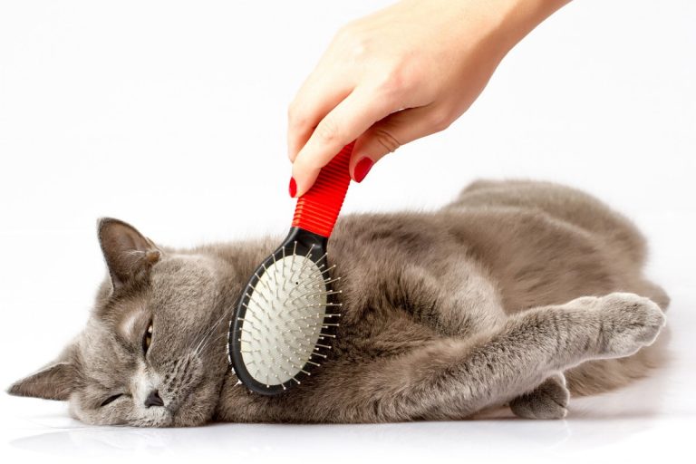 Comb Game Poster