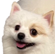 Fil
