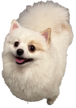 Fil